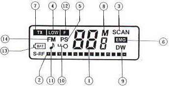 P-2000 LCD